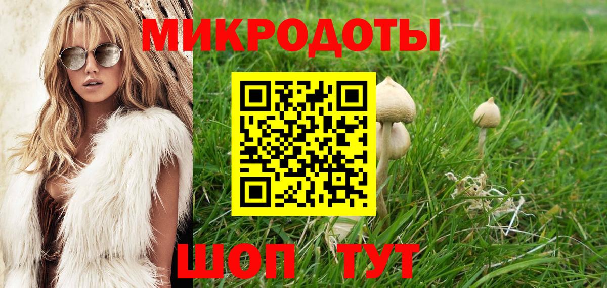 Псилоцибиновые грибы ЛСД Волжский