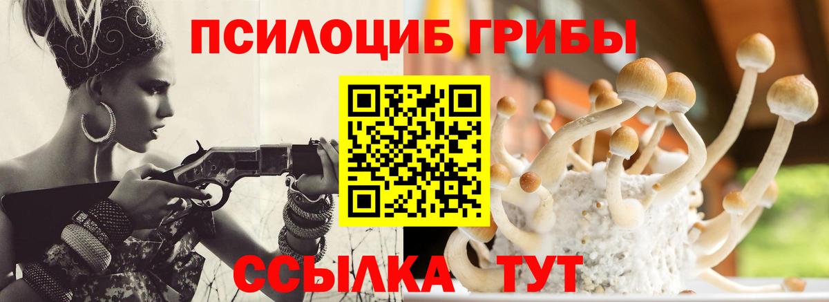 Галлюциногенные грибы Psilocybe  Вход с VPN  Волжский 