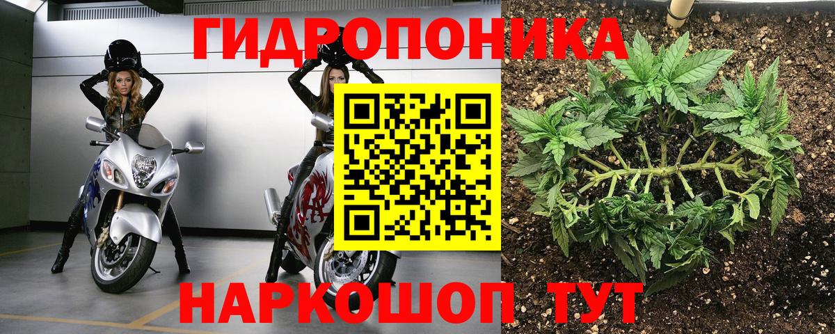 Бошки марихуана гибрид Волжский